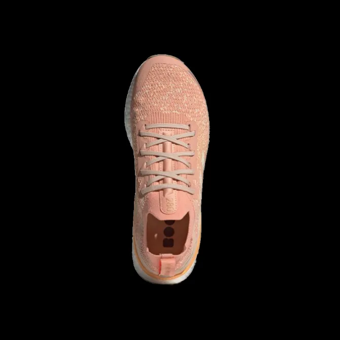 adidas Terrex Two Ultra Pr