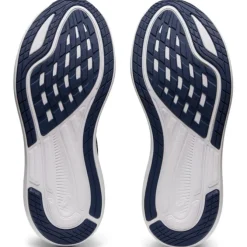 Asics EvoRide 2
