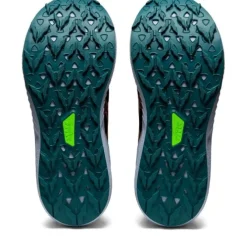 Asics Fuji Lite 3