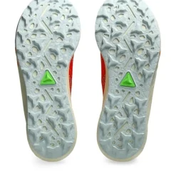 Asics Fuji Speed 3