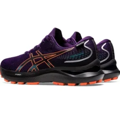 Asics Gel-Cumulus 24 GTX