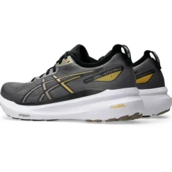 Asics Gel-Kayano 31