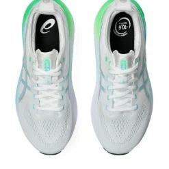 Asics Gel-Kayano 31