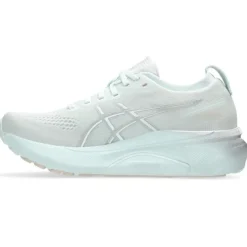 Asics Gel-Kayano 31