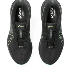Asics Gel-Pulse 15 GTX