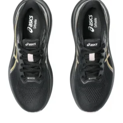 Asics GT-1000 13 GTX