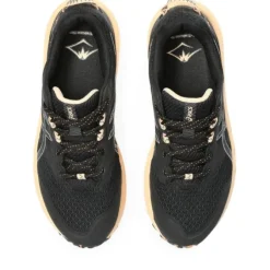 Asics  Trabuco Terra 2