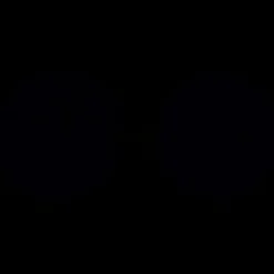 Blackroll Duoflex 12