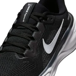 Nike Air Zoom Pegasus 41