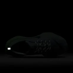 Nike Invincible 3