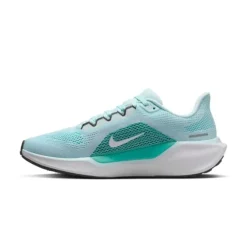 Nike Pegasus 41