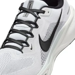 Nike Pegasus 41