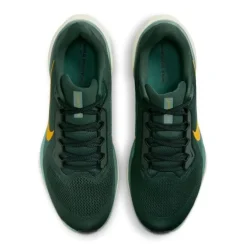 Nike Pegasus 41