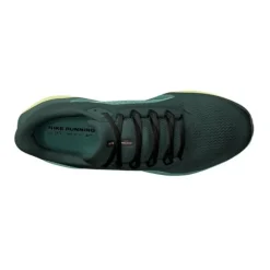 Nike Pegasus 41