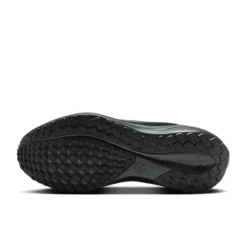 Nike Pegasus 41