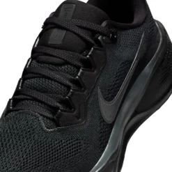 Nike Pegasus 41