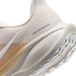 Nike Pegasus 41