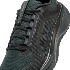 Nike Pegasus 41 Gore-Tex