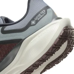 Nike Pegasus 41 Gore-Tex