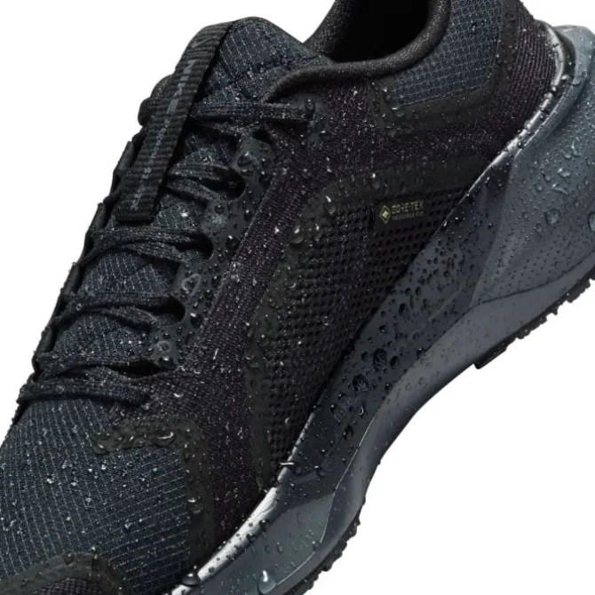 Nike Pegasus 41 Gore-Tex