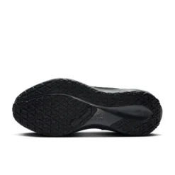 Nike Pegasus 41 Gore-Tex