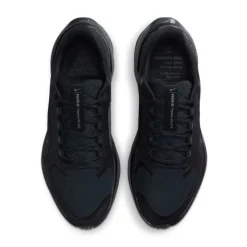 Nike Pegasus 41 Gore-Tex