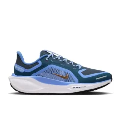 Nike Pegasus 41 Gore-Tex