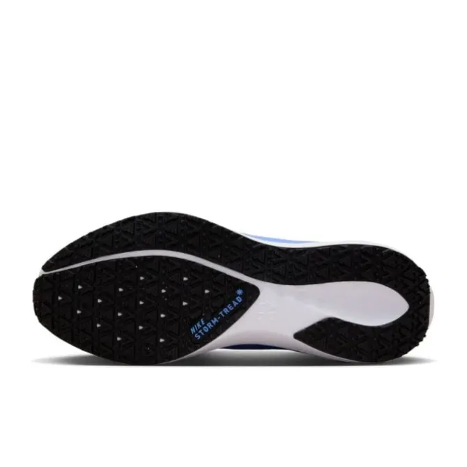 Nike Pegasus 41 Gore-Tex