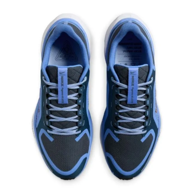 Nike Pegasus 41 Gore-Tex