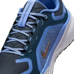Nike Pegasus 41 Gore-Tex