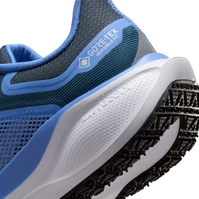 Nike Pegasus 41 Gore-Tex