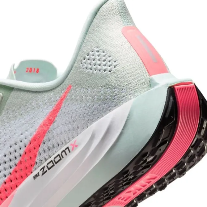 Nike Pegasus Plus