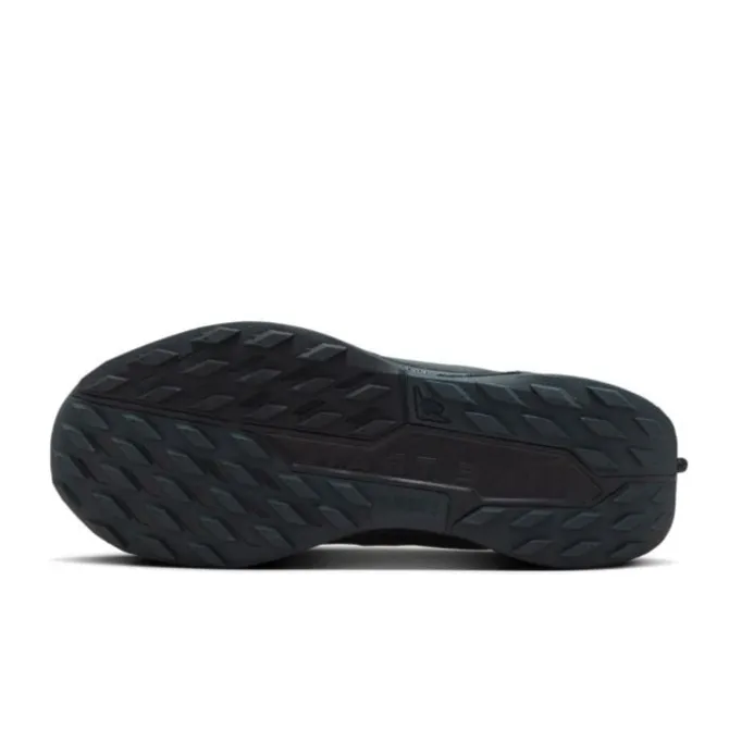 Nike Pegasus Trail 5