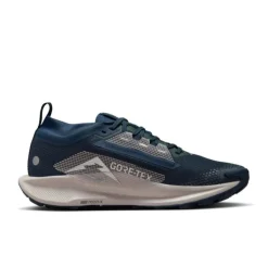Nike Pegasus Trail 5 Gore-Tex