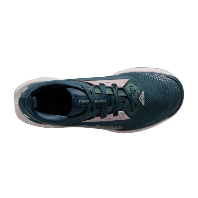 Nike Pegasus Trail 5 Gore-Tex
