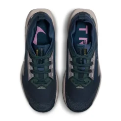 Nike Pegasus Trail 5 Gore-Tex