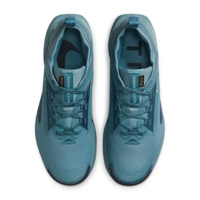 Nike Pegasus Trail 5 Gore-Tex
