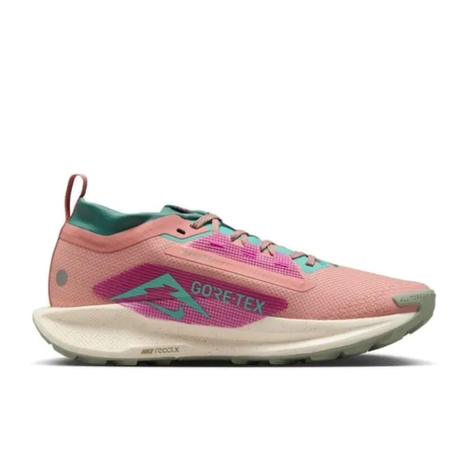 Nike Pegasus Trail 5 Gore-Tex