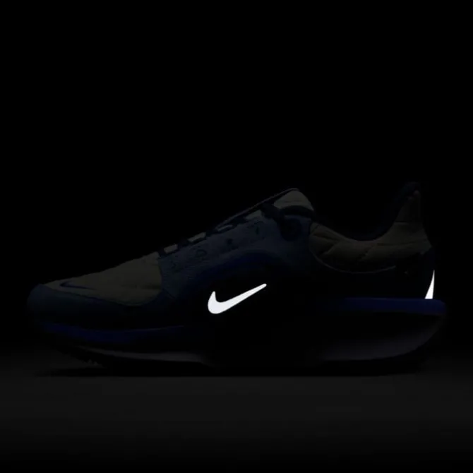Nike Winflo 11 Gore-Tex