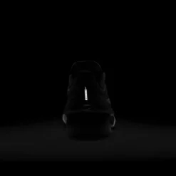 Nike Zoom Fly 6