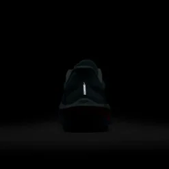 Nike Zoom Fly 6