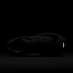 Nike Zoom Fly 6