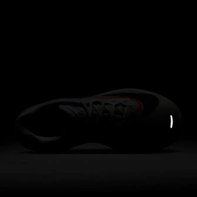 Nike Zoom Fly 6