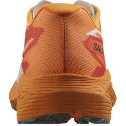 Salomon Aero Volt