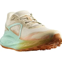 Salomon Glide Max TR