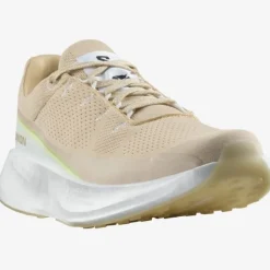 Salomon Index 02