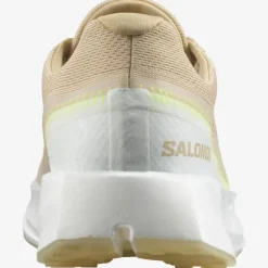 Salomon Index 02