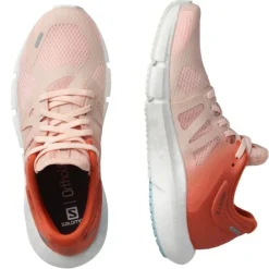 Salomon Predict 2
